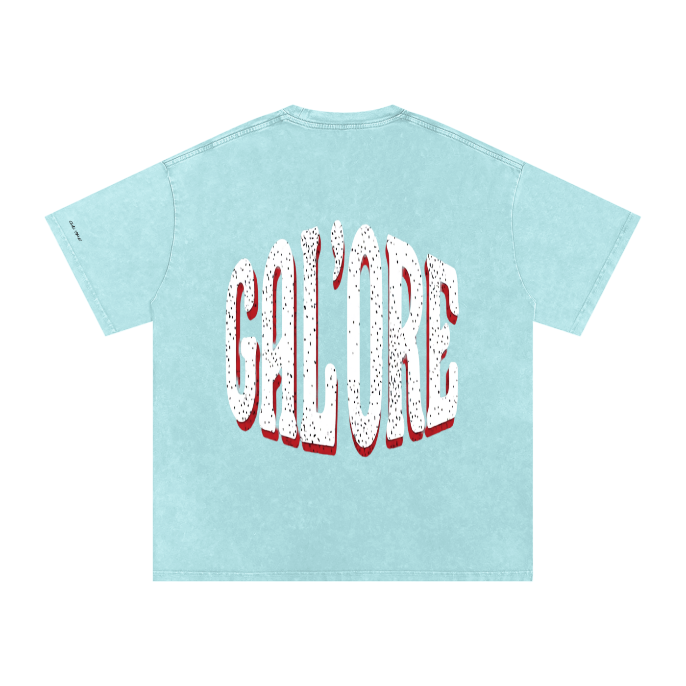 GAL'ORE CO. Oversized Cotton T-Shirt
