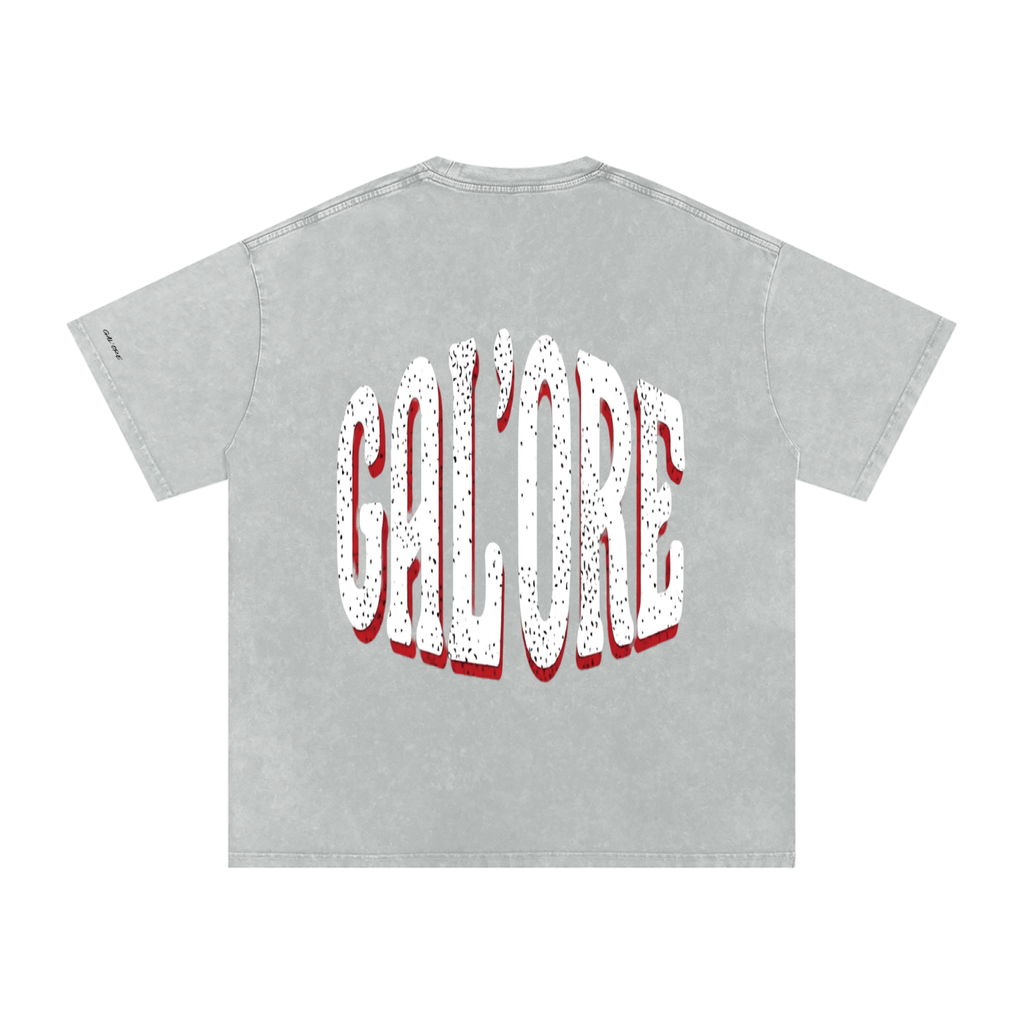 GAL'ORE CO. Oversized Cotton T-Shirt